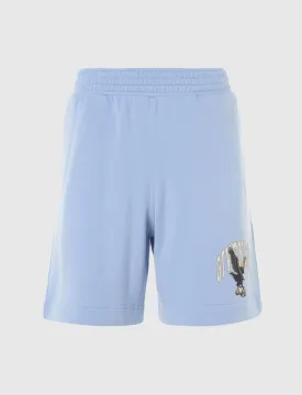 BOARD SHORTS