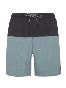 Protest PRTBOYDIN Men's Swim Shorts - Arctic Green