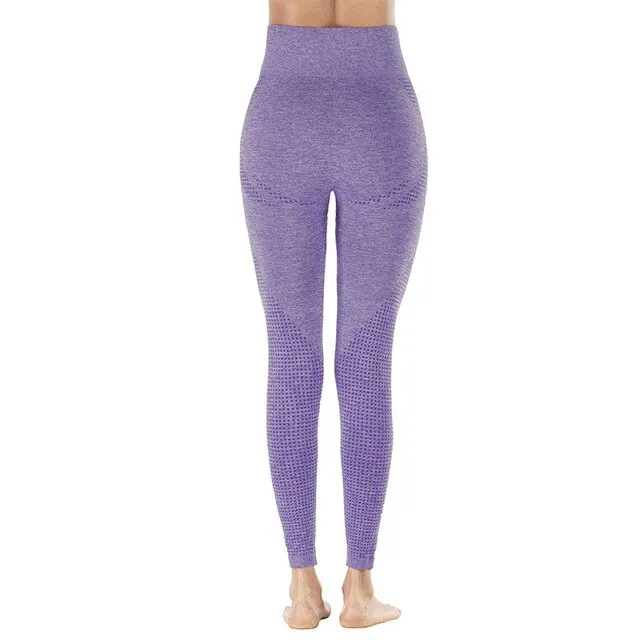 Shark High Waist Seamless Leggings