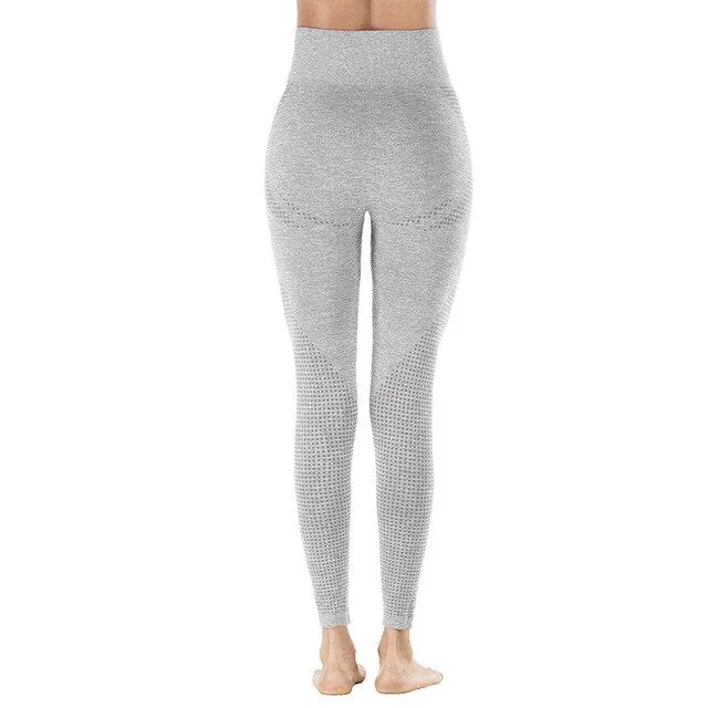 Shark High Waist Seamless Leggings