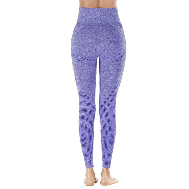 Shark High Waist Seamless Leggings