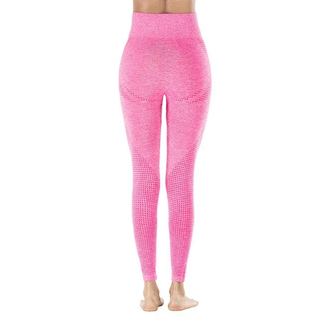 Shark High Waist Seamless Leggings
