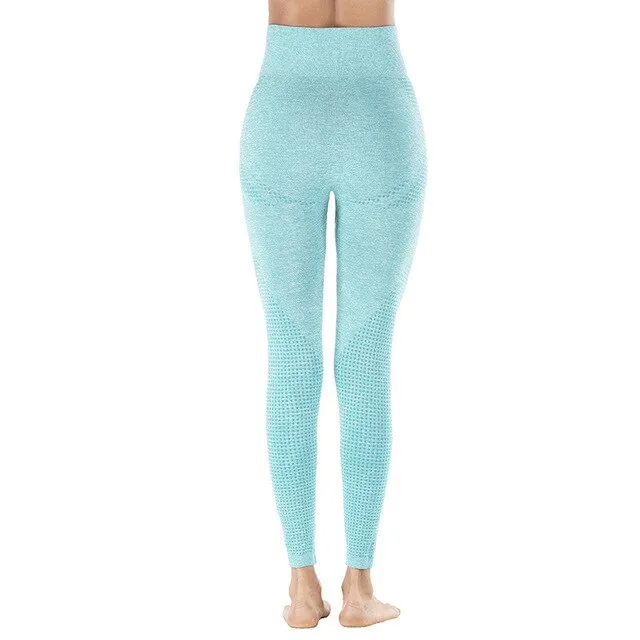 Shark High Waist Seamless Leggings