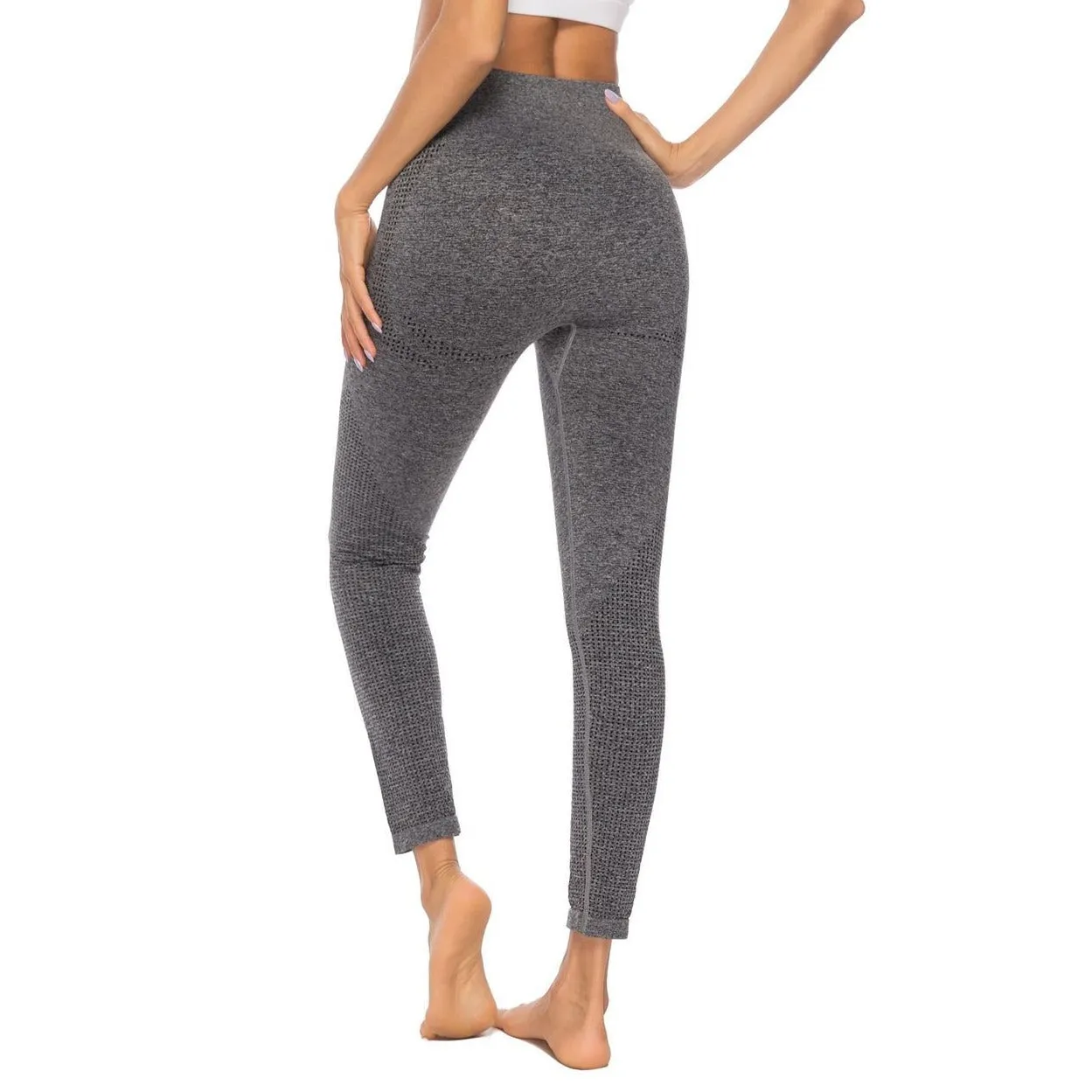 Shark High Waist Seamless Leggings