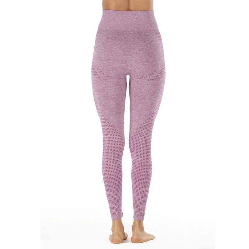 Shark High Waist Seamless Leggings
