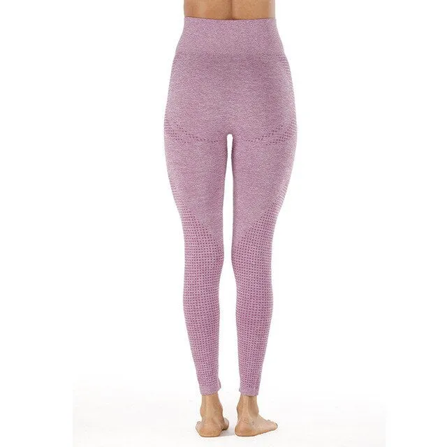 Shark High Waist Seamless Leggings