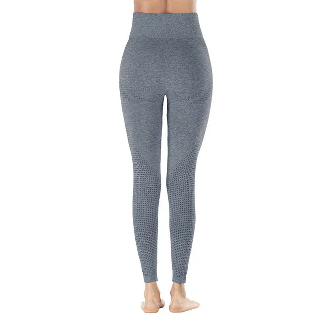 Shark High Waist Seamless Leggings