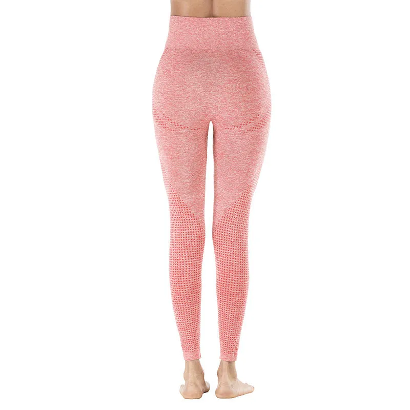 Shark High Waist Seamless Leggings
