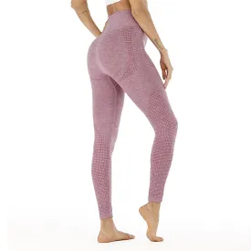 Shark High Waist Seamless Leggings