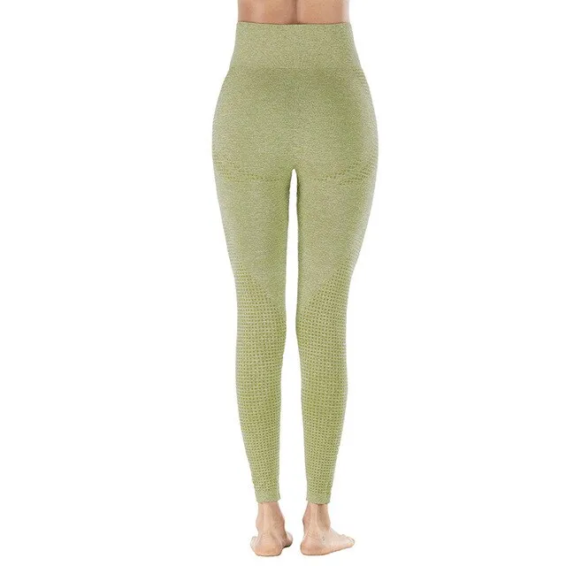 Shark High Waist Seamless Leggings
